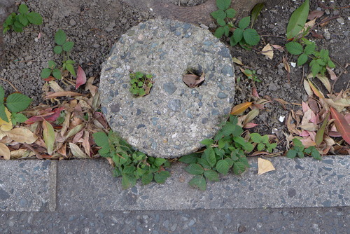 P1140073