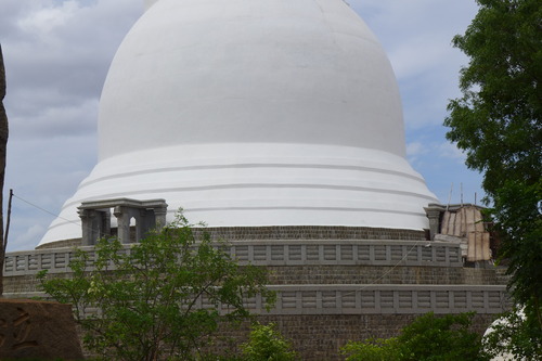P1200051