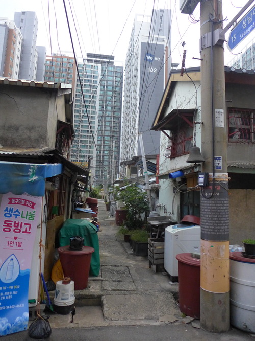P1550318