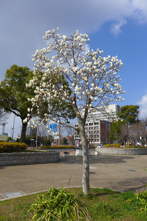 P1090195