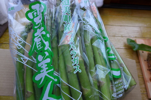 P1100293