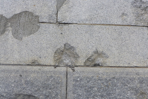 P1170484