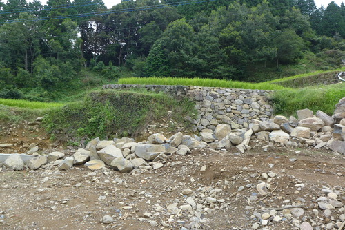 P1200226