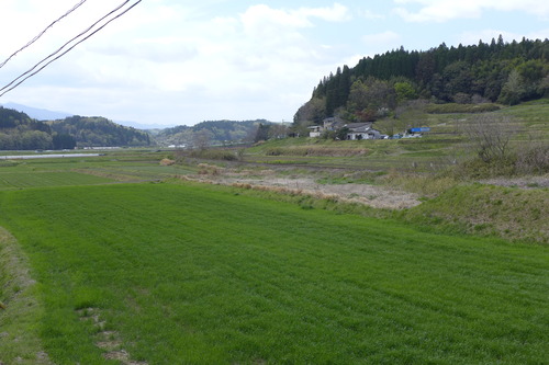 P1130081