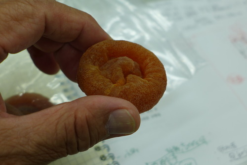 P1100076