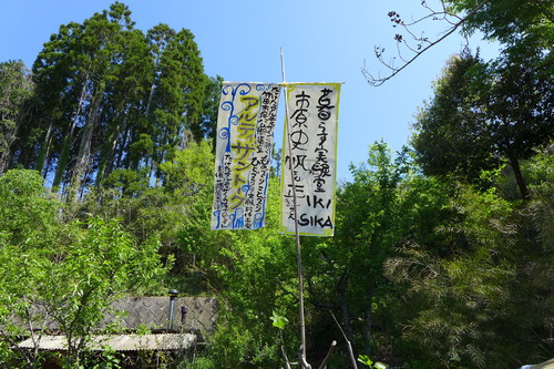 P1130953
