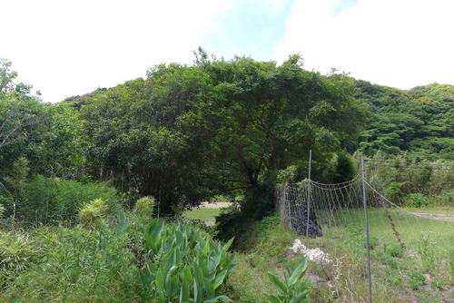 P1540039