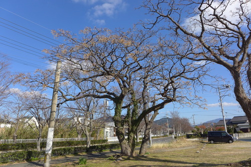P1040602