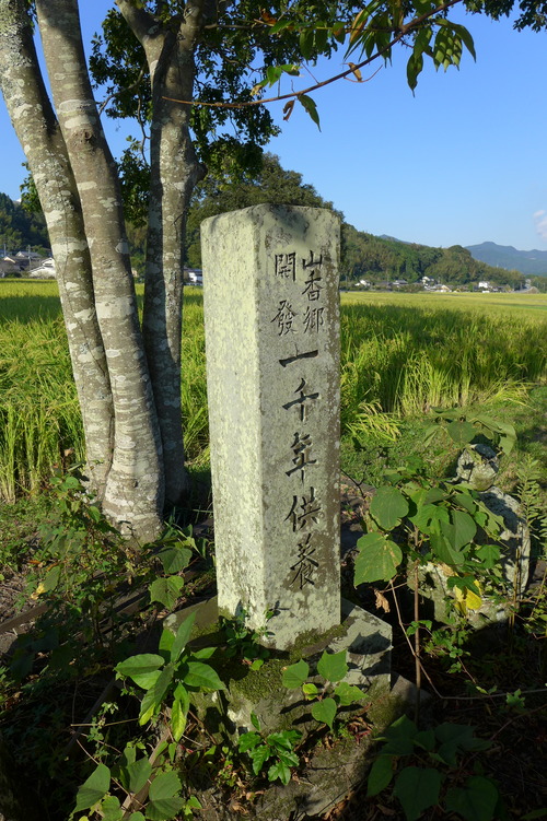 P1180534