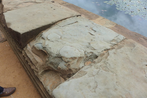 P1090544