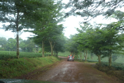 P1050709