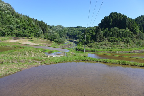 P1130220