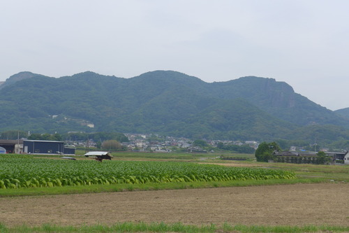P1130759