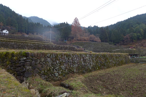 P1520577