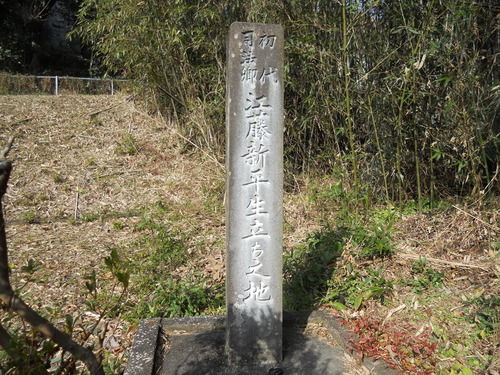 DSCN2387