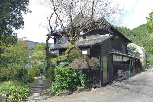 P1350955