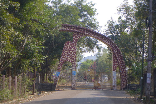 20260215インド北東トリプラ州都アガルタル（その7）JICA海外協力隊竹工芸訓練指導者まっぽん（松本浩和さん）と郊外村落フラヌール！