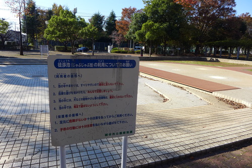 20241125藍蟹堂家族聖地探訪（その3）1987年〜93年在住せんげん台じゃぶじゃぶ公園！