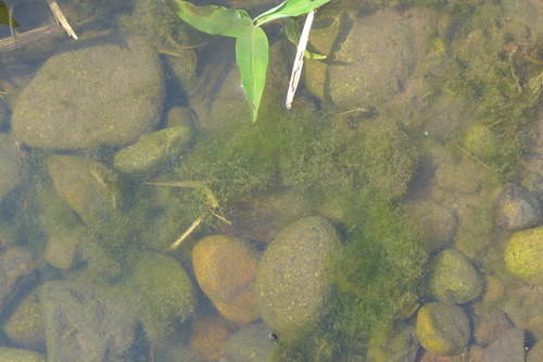 P1110355