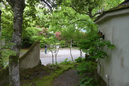 P1180568