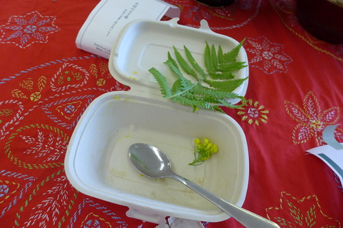 P1120079