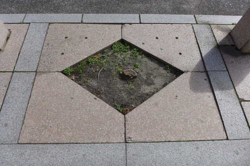 P1070533