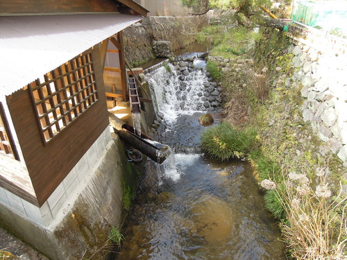 DSCN2430