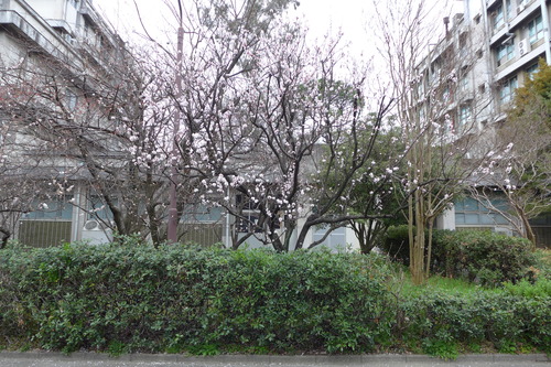 P1160834