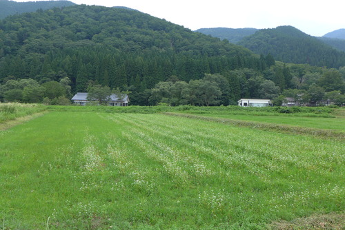 P1090074