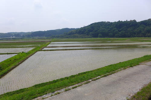 P1100802