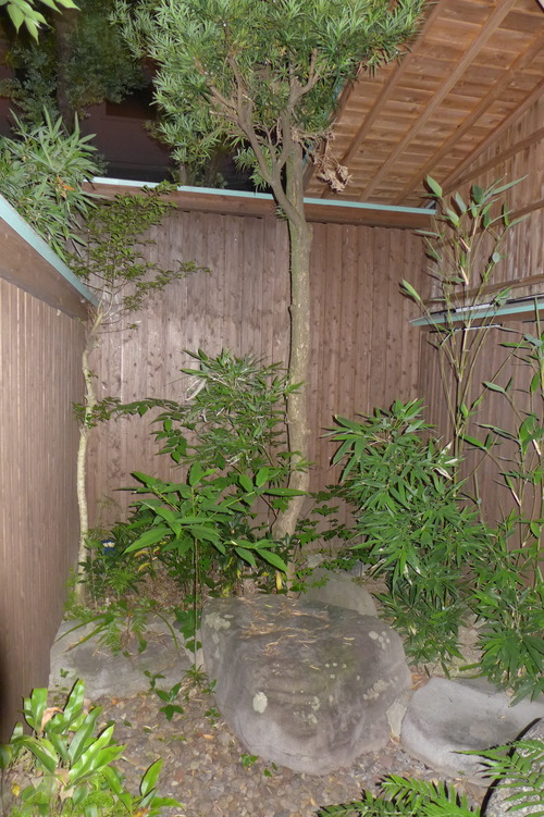 P1130705