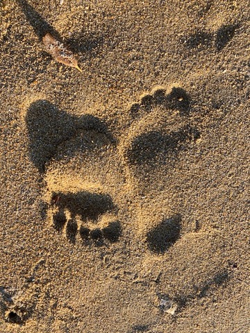 IMG_4037