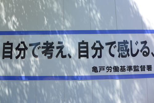 なんだか今夏の路上は暑くて暑くて・・冒険「目玉」までもが目玉焼きになってしまう・・・