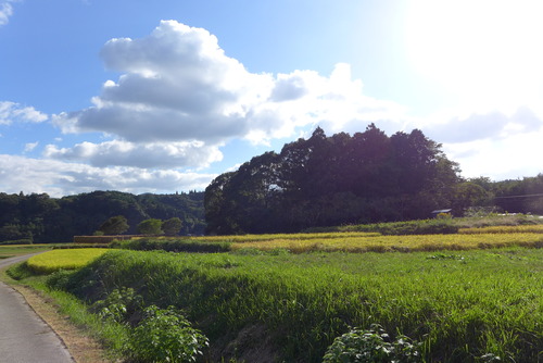 カテリーナの森に魅せられた仲間たち 2021年10月23日（土）社会関係資本（Sosial Capital）を豊穣に育む