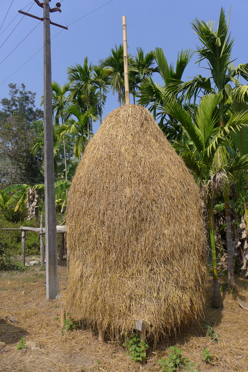 P1450582