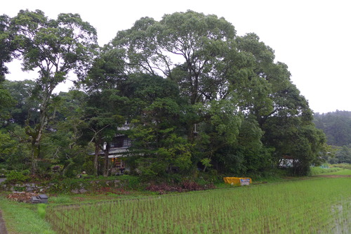 P1160068