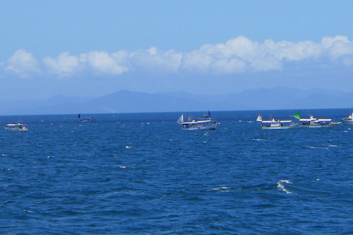 P1290510
