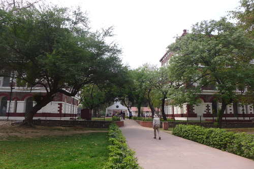 P1500434