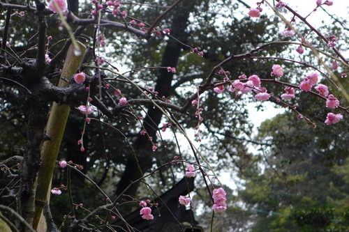 P1070327