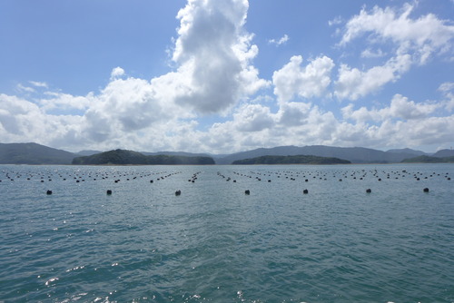 P1120739 のコピー