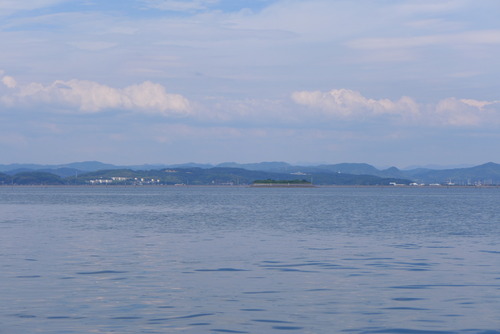 P1560768