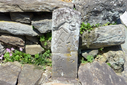P1220534