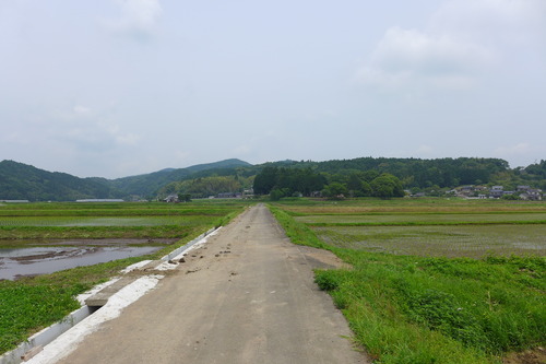 P1100831