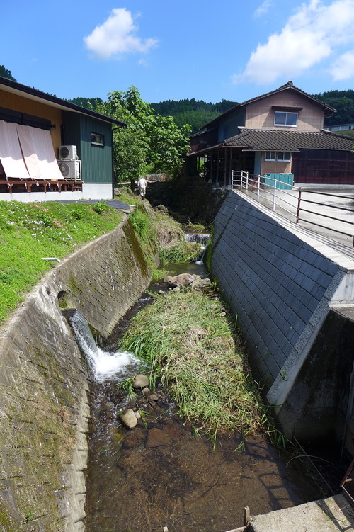 20250629竹田市直入町梶屋T家環境整備のテゴで汗を流す