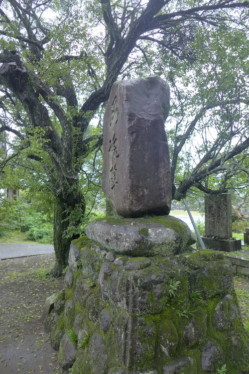 P1300138