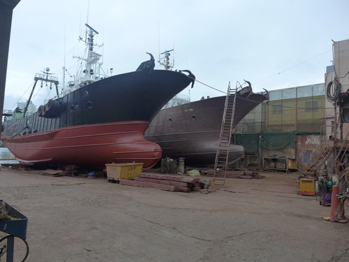 P1550263