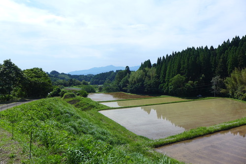 巡りの里くらまどギャラリー早瀬家（竹田市下坂田）再訪！