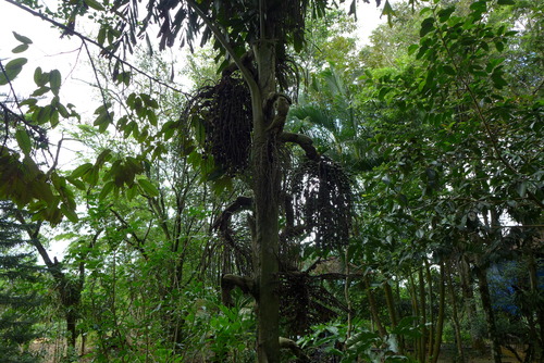 P1050638