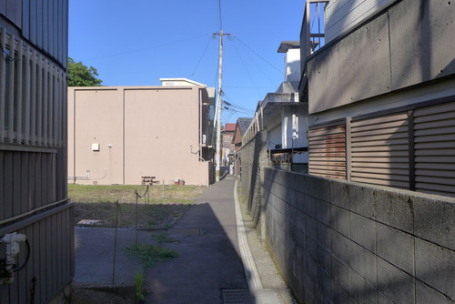 P1540155