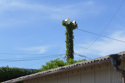 P1320611